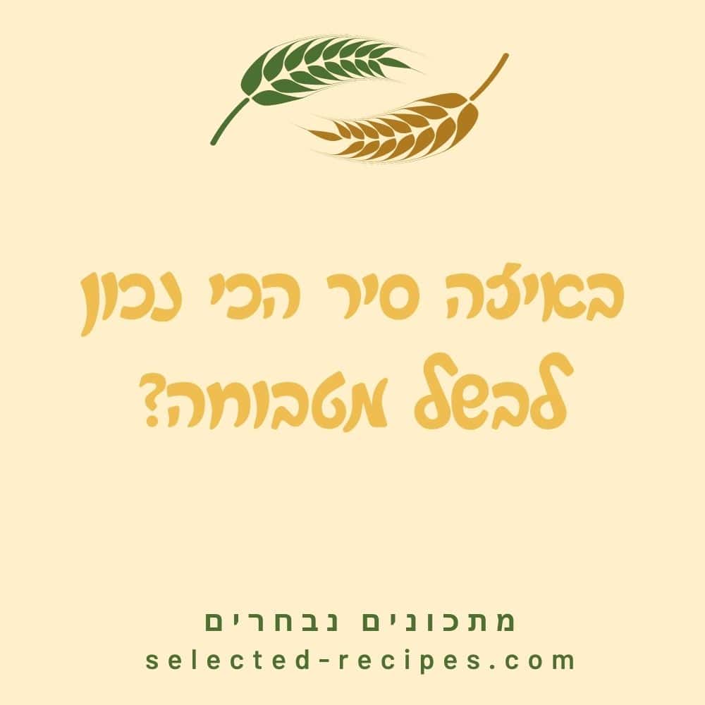 באיזה סיר הכי נכון לבשל מטבוחה?