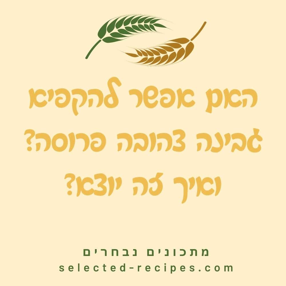 האם אפשר להקפיא גבינה צהובה פרוסה ואיך זה יוצא