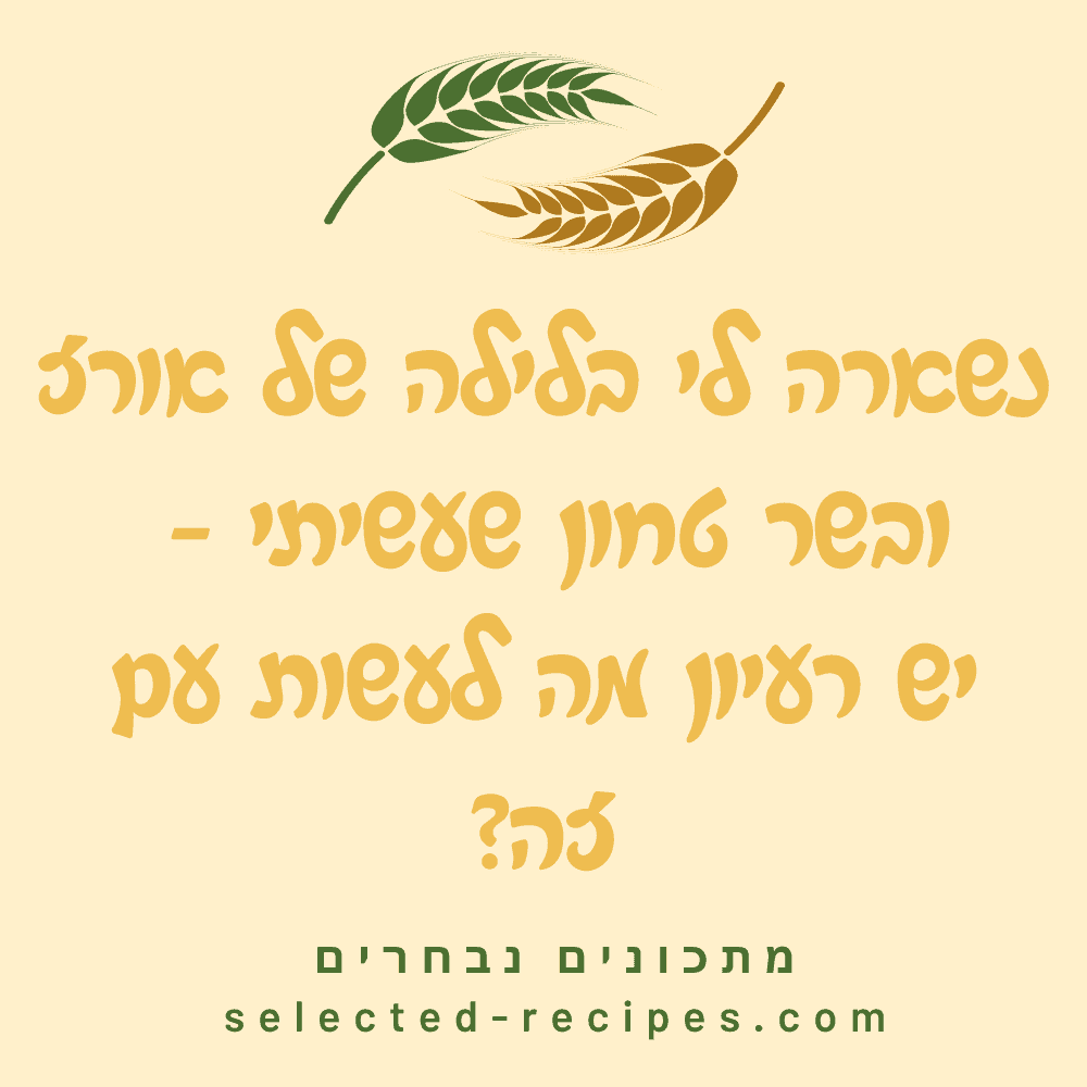 נשארה לי בלילה של אורז ובשר טחון שעשיתי - יש רעיון מה לעשות עם זה