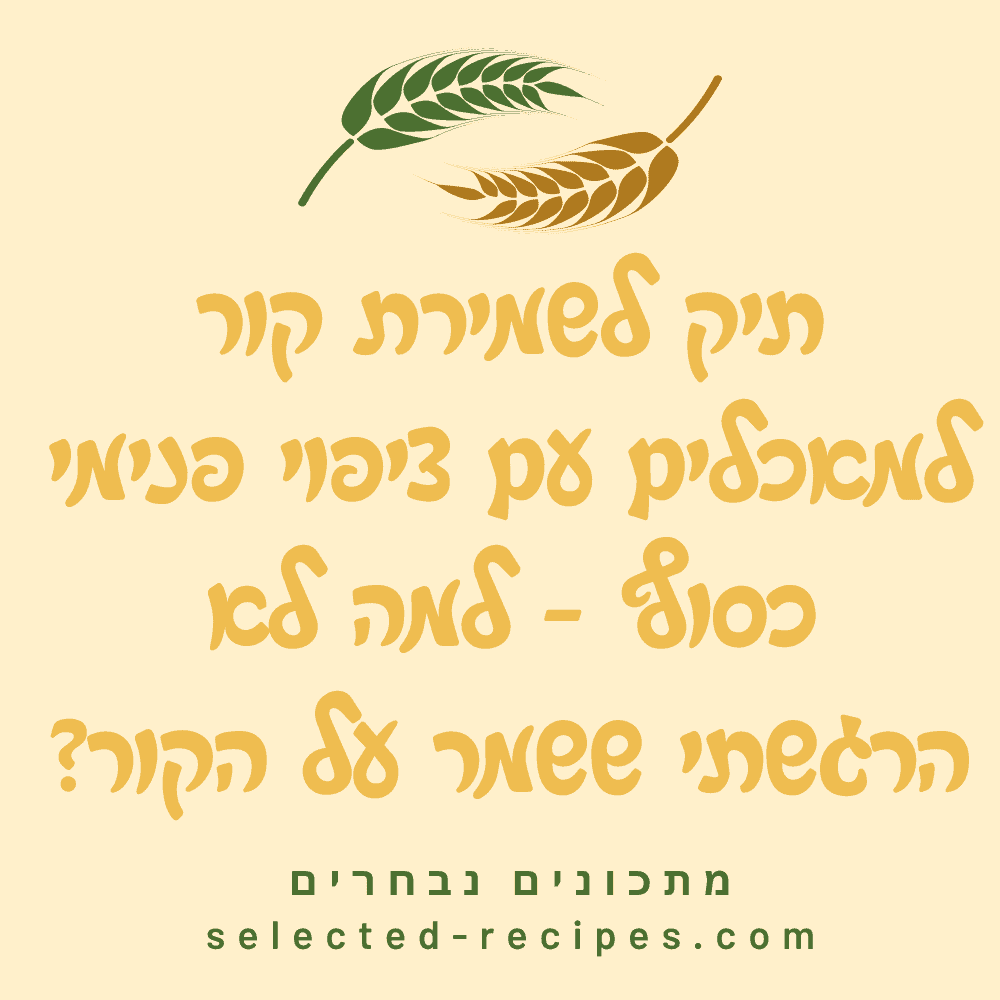 תיק לשמירת קור למאכלים עם ציפוי פנימי כסוף - למה לא הרגשתי ששמר על הקור
