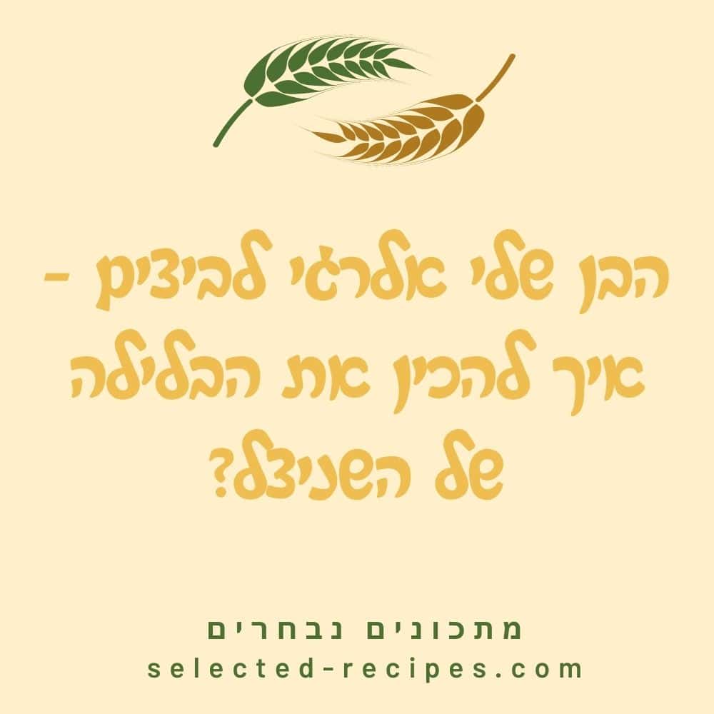 הבן שלי אלרגי לביצים - איך להכין את הבלילה של השניצל
