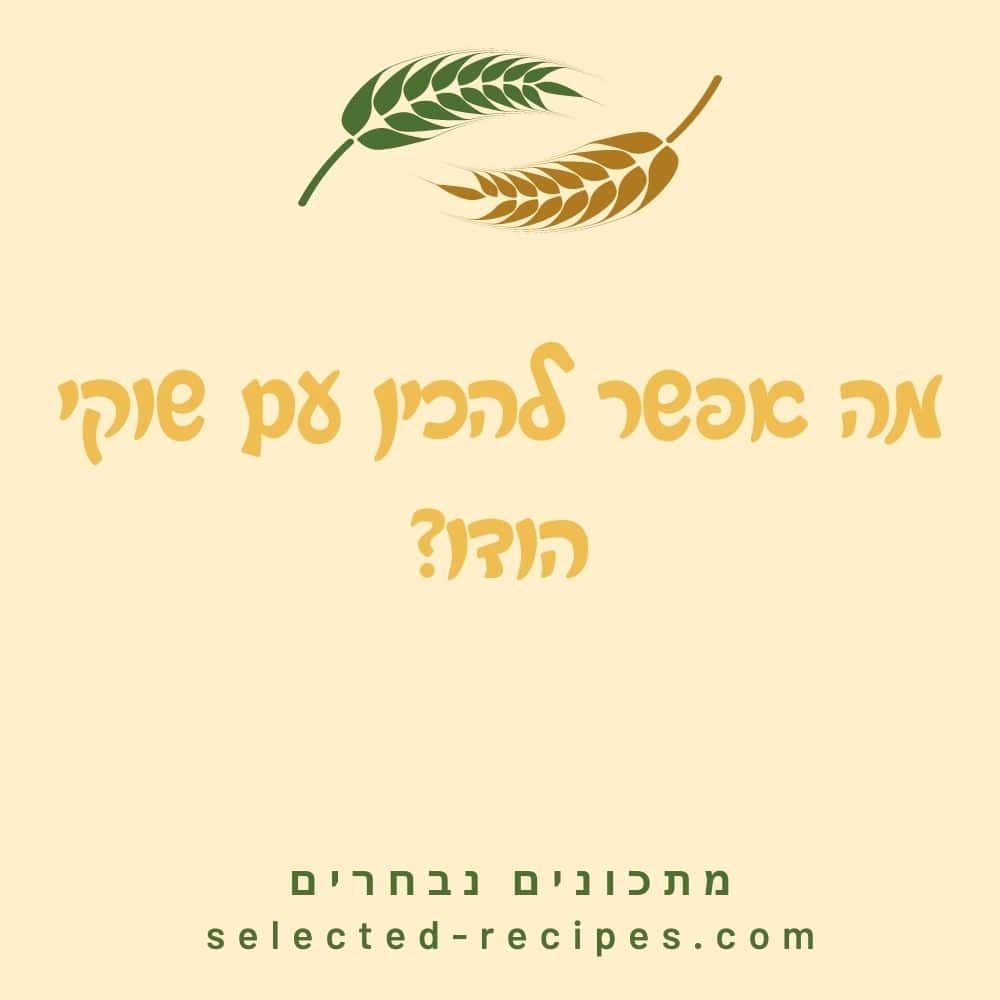 מה אפשר להכין עם שוקי הודו