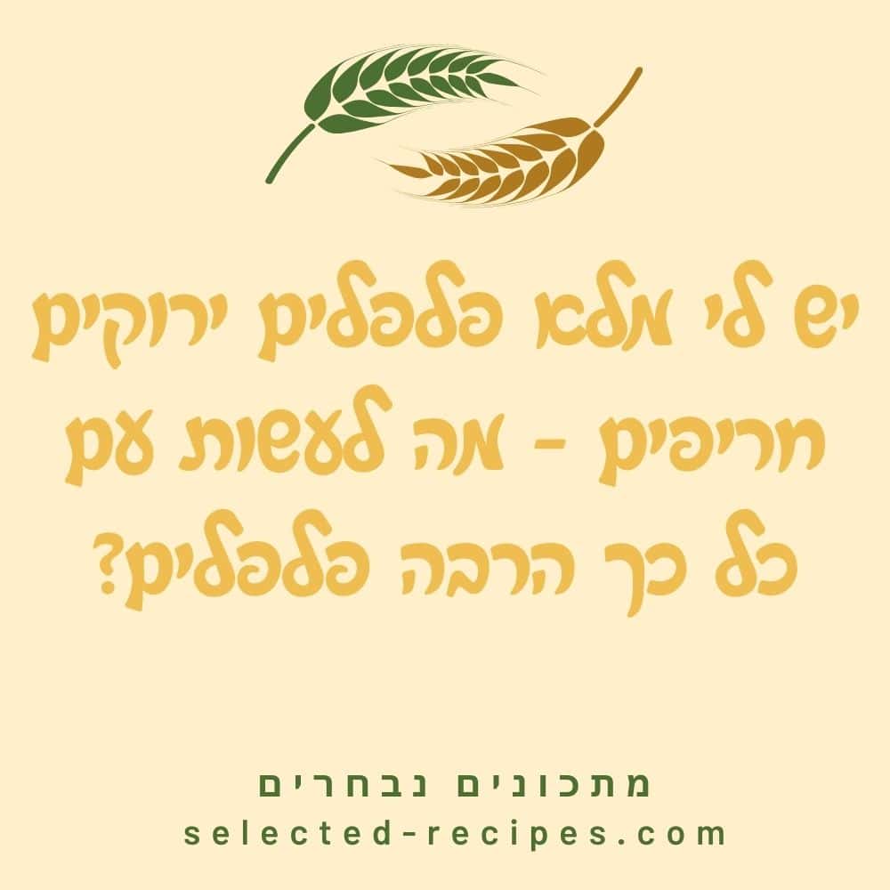 יש לי מלא פלפלים ירוקים חריפים - מה לעשות עם כל כך הרבה פלפלים