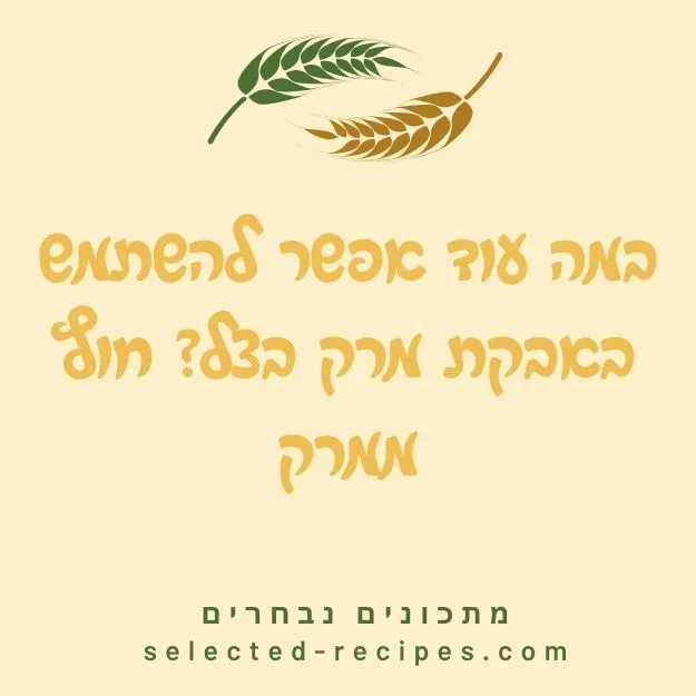 במה עוד אפשר להשתמש באבקת מרק בצל חוץ ממרק