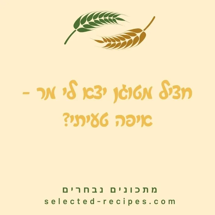 חציל מטוגן יצא לי מר - איפה טעיתי