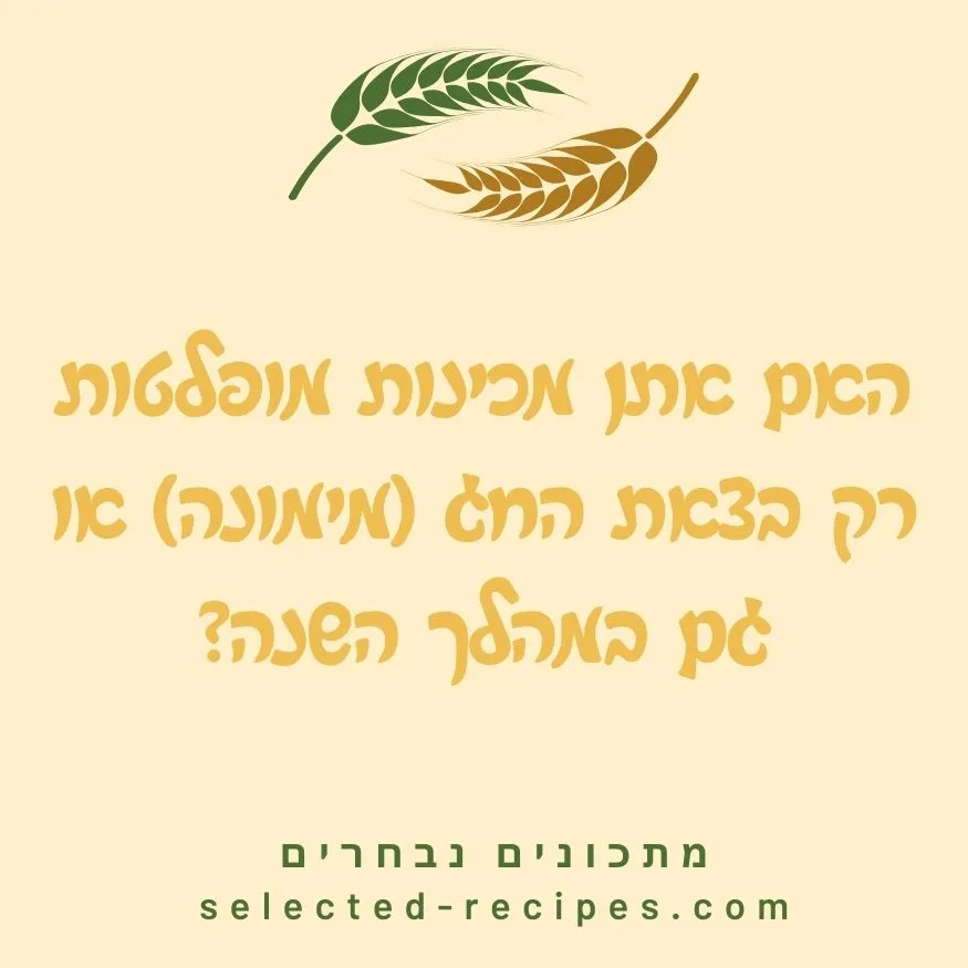 מופלטות רק במימונה או גם במהלך השנה?