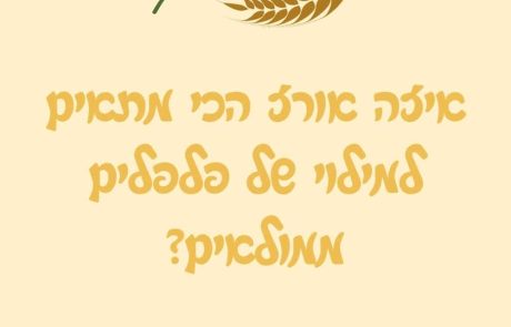 איזה אורז הכי מתאים למילוי של פלפלים ממולאים?