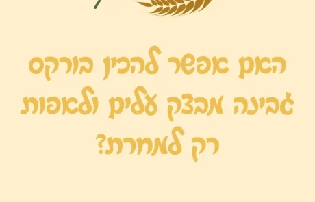 האם אפשר להכין בורקס גבינה מבצק עלים ולאפות רק למחרת?