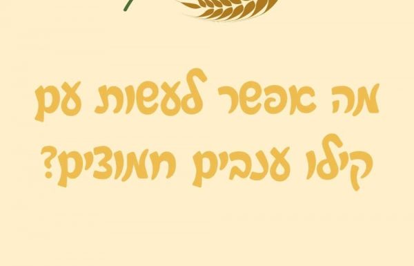 מה אפשר לעשות עם קילו ענבים חמוצים?