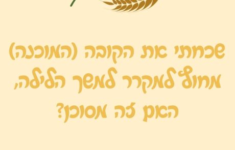 שכחתי את הקובה (המוכנה) מחוץ למקרר למשך הלילה, האם זה מסוכן?