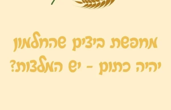 מחפשת ביצים שהחלמון יהיה כתום – יש המלצות?