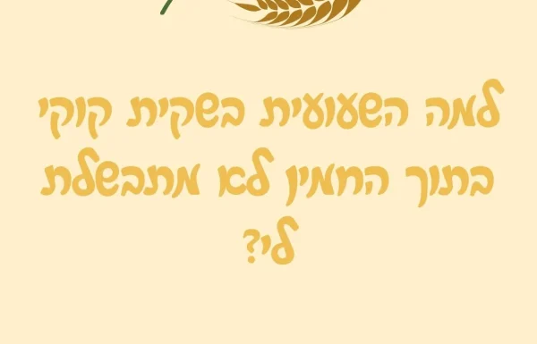 למה השעועית בשקית קוקי בתוך החמין לא מתבשלת לי?