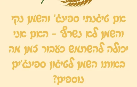 אם טיגנתי ספינג' והשמן נקי והשמן לא נשרף – האם אני יכולה להשתמש כעבור זמן מה באותו השמן לטיגון ספינג'ים נוספים?
