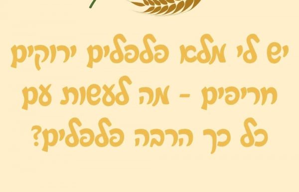 יש לי מלא פלפלים ירוקים חריפים – מה לעשות עם כל כך הרבה פלפלים?