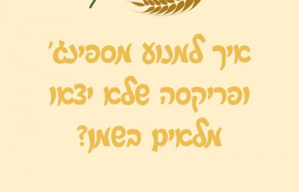 איך למנוע מספינג' ופריקסה שלא יצאו מלאים בשמן?