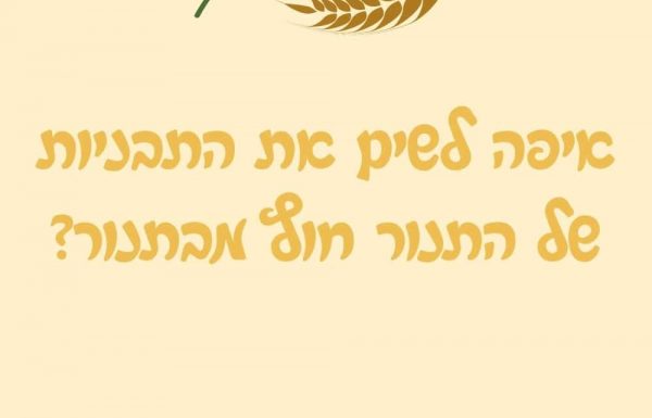 איפה לשים את התבניות של התנור חוץ מבתנור?