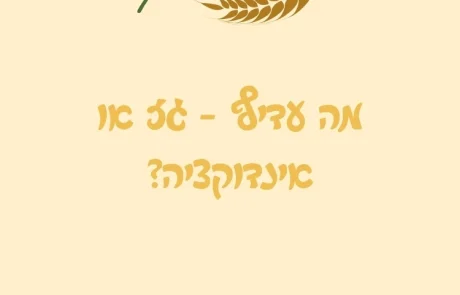 מה עדיף – גז או אינדוקציה?