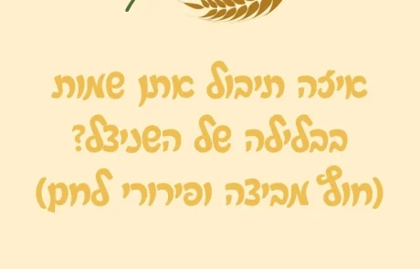 איזה תיבול אתן שמות בבלילה של השניצל? (חוץ מביצה ופירורי לחם)